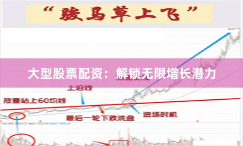 大型股票配资：解锁无限增长潜力