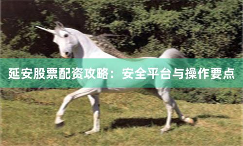延安股票配资攻略:安全平台与操作要点